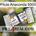Anaconda 5000 Pill 12